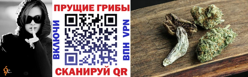 Псилоцибиновые грибы мицелий это наркотические препараты Верещагино